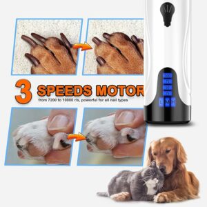 Read more about the article Best Dog Nail Trimmers and Clippers Kit 2024